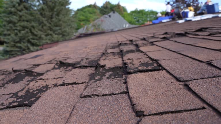 Best Roof Leak Repair  in Frankfort, OH